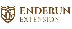 Enderun College