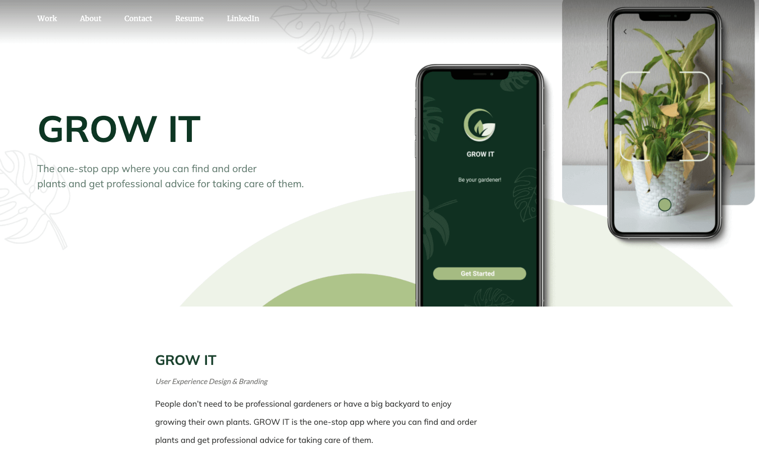 Mashad Shafiee UX portfolio