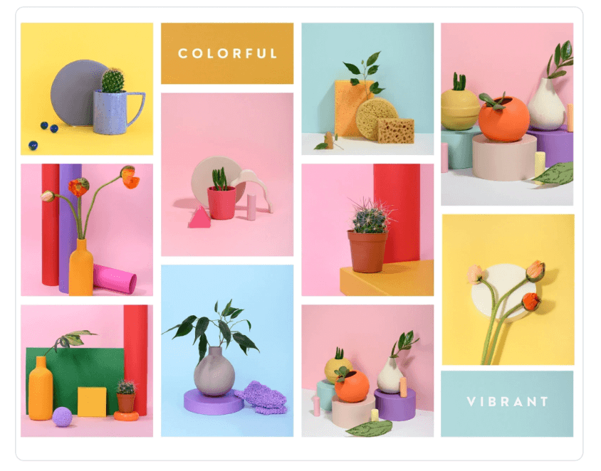 canva mood board example