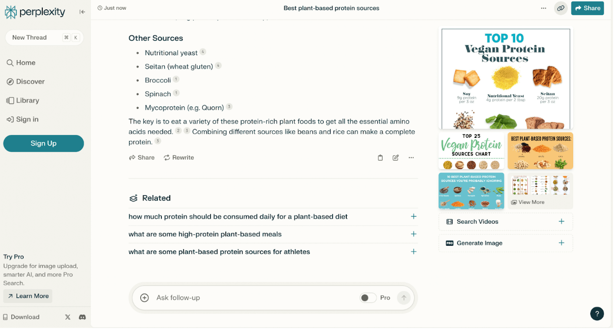  Perplexity AI showing responses a query